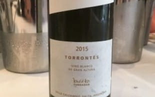 Wine of the week: Colomé Torrontes 2015