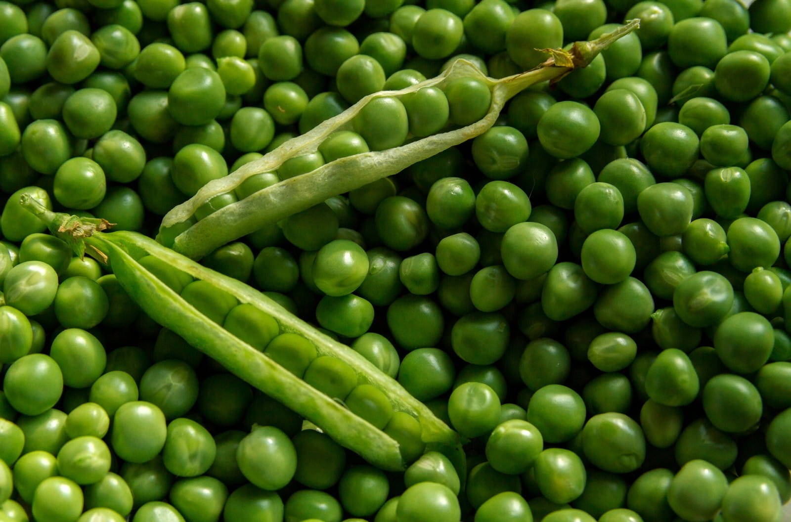 Peas and pinot