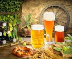 Which beer pairs best with the Thanksgiving feast? What the experts say