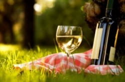 Entertaining | Which wine to take on a picnic?