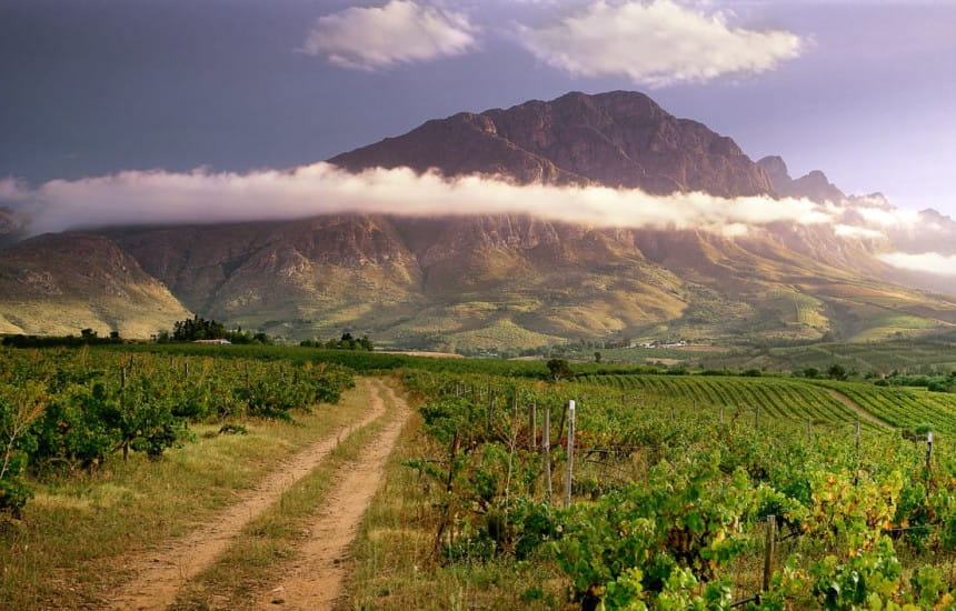 Competitions and offers | Win a case of award-winning South African wines