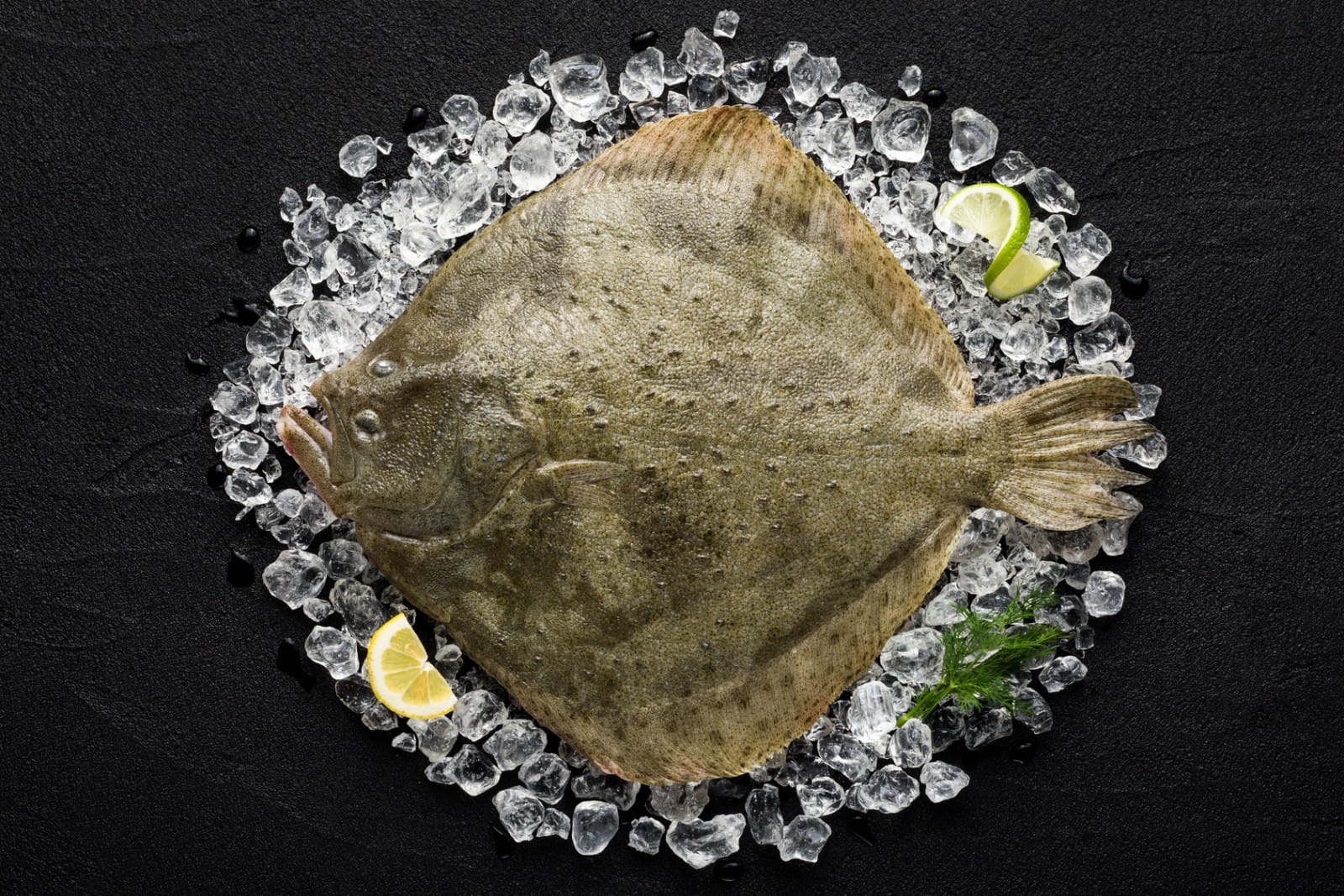 The best wine matches for turbot